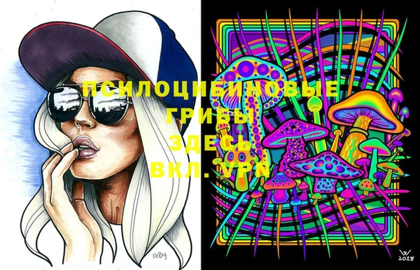 скорость Алексеевка