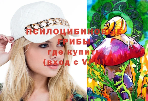 мет Алексин