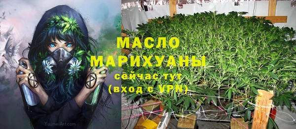 мет Алексин