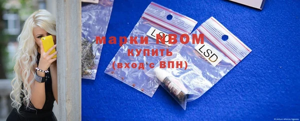 мет Алексин