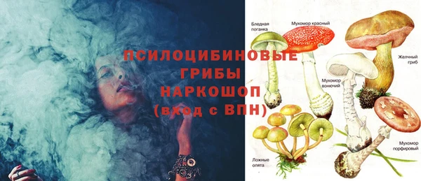 ПСИЛОЦИБИНОВЫЕ ГРИБЫ Алзамай