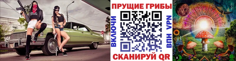 где продают   Омутнинск  Галлюциногенные грибы Cubensis 